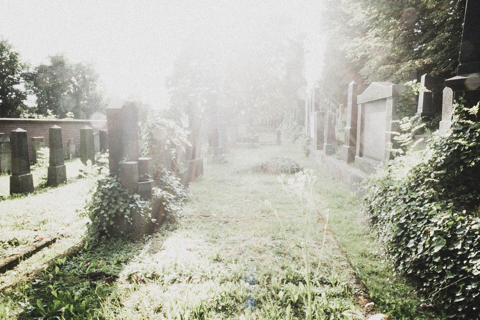 Jüdischer Friedhof Kassel-Bettenhausen